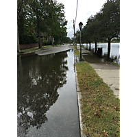 Hurricane Florence  image